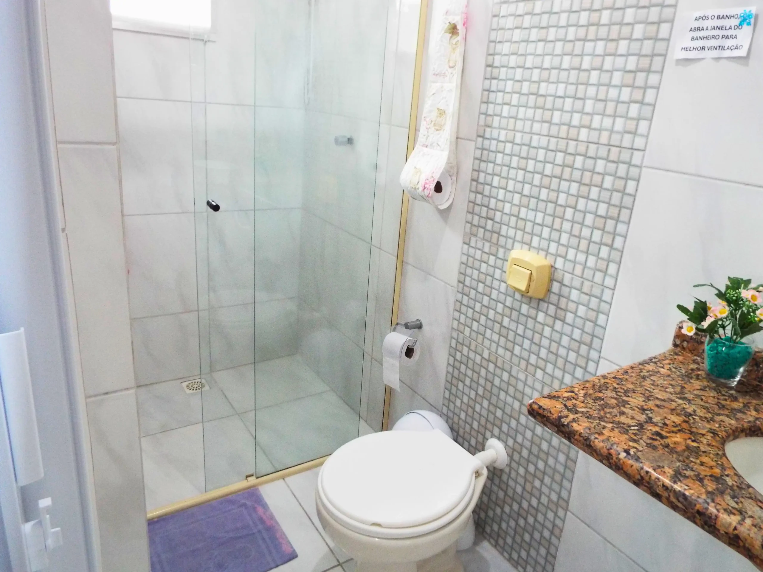 Banheiro da suite 6, com pia e privada, e box, tapete em frente, porta papel higenico suspenso, pia de marmore e vaso de flor